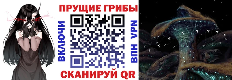 Галлюциногенные грибы мицелий  omg   Кукмор  купить наркотики сайты 