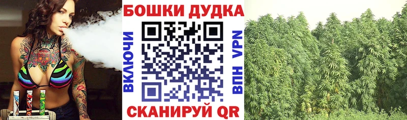 Конопля Bruce Banner  Кукмор 